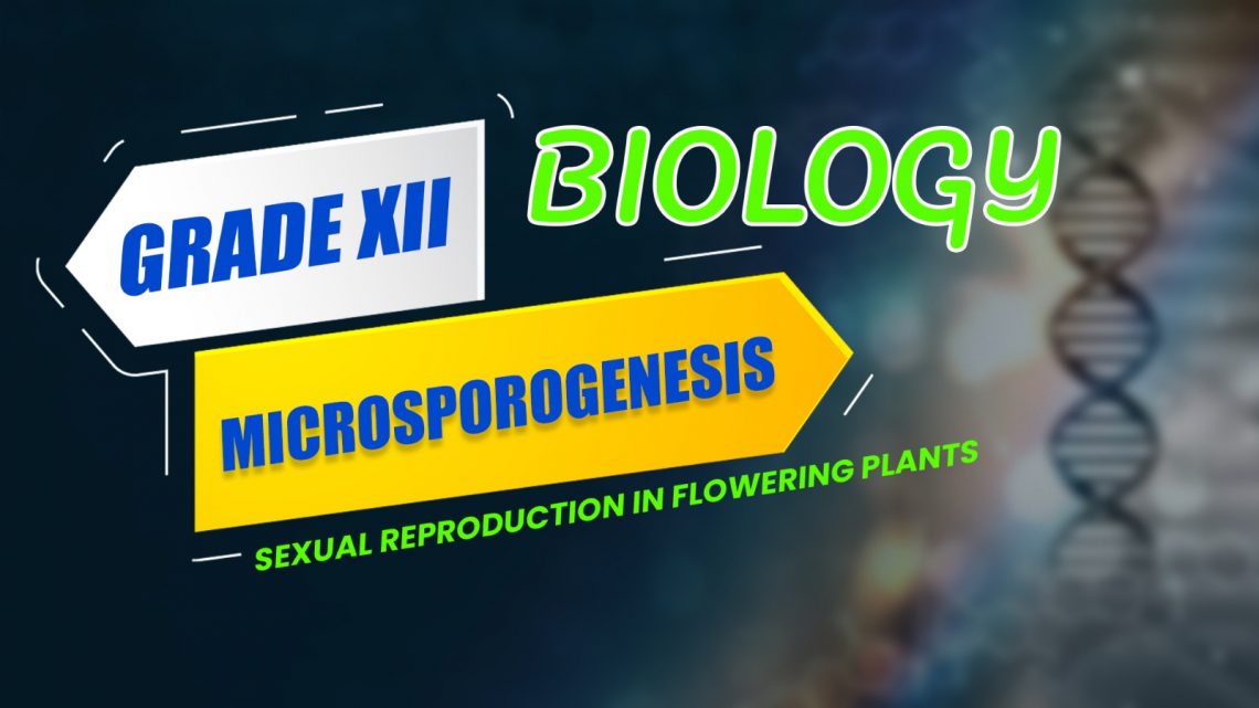 CBSE Class 12 Biology – Microsporogenesis (Sexual Reproduction in Flowering Plants) Video Lecture