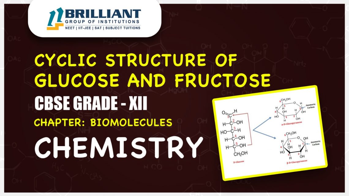CBSE Class 12 Chemistry Biomolecules – Cyclic Structure of Glucose and Fructose