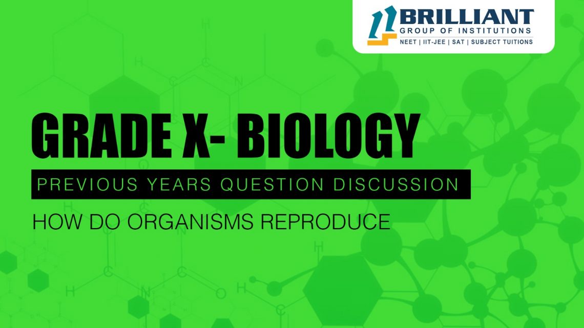 Grade 10 Biology Previous Year Important Questions – How Do Organisms Reproduce