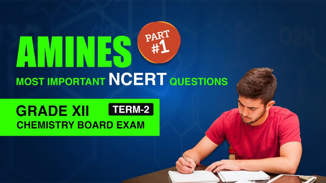 Amines NCERT  Questions, Answers, Notes & Solutions for CBSE Grade 12 – Part 1